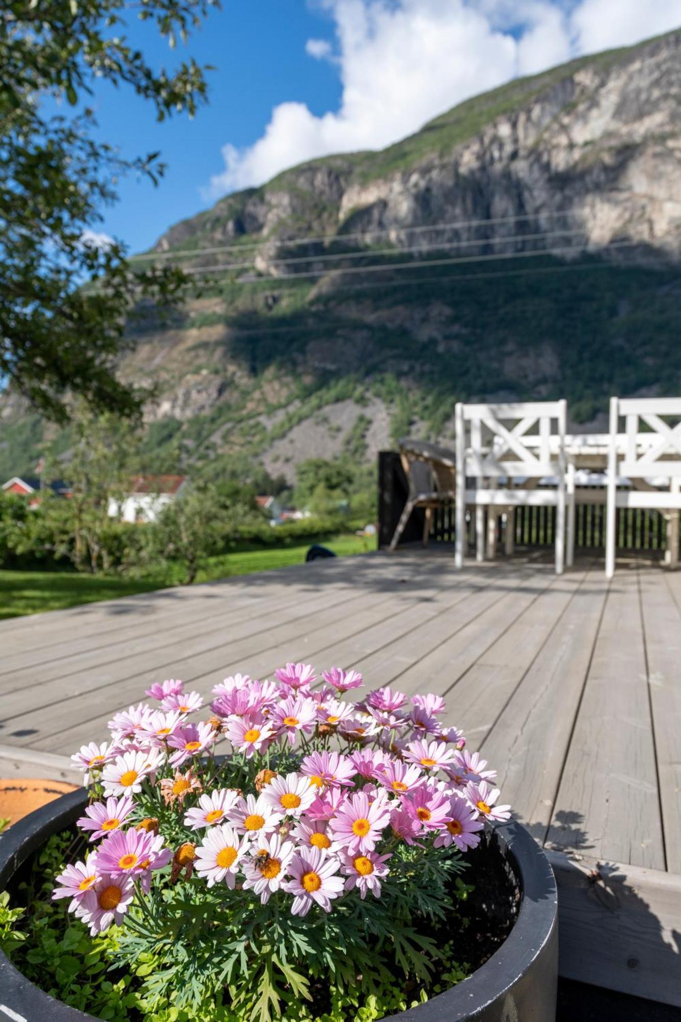 Lærdalsøyri Jordeplegarden Holiday Home - Part Of A Farm - Two Buildings - Close To Flam מראה חיצוני תמונה