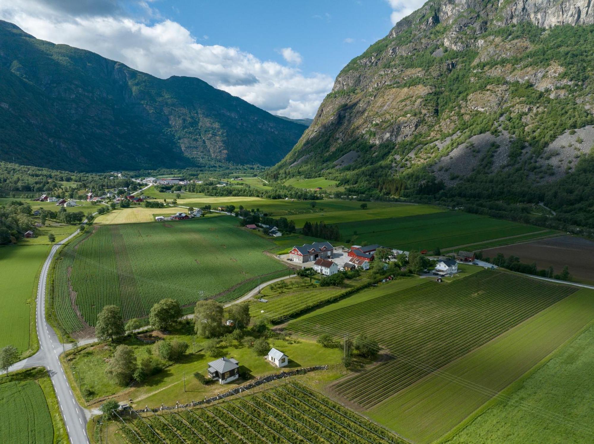 Lærdalsøyri Jordeplegarden Holiday Home - Part Of A Farm - Two Buildings - Close To Flam מראה חיצוני תמונה